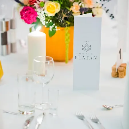 酒店 Platan 3*