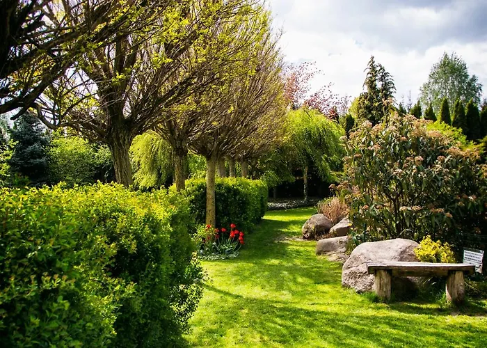 Platan Гданьск