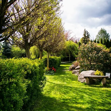 Platan Γκντανσκ