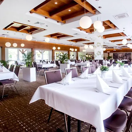 Platan Γκντανσκ